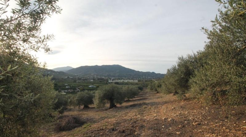 Málaga - Álora - 10000m2