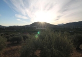 Terreny amb magatzem en venda a la España, Álora, ref.: TR381511 foto