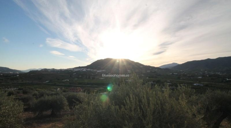 Málaga - Álora - 10000m2