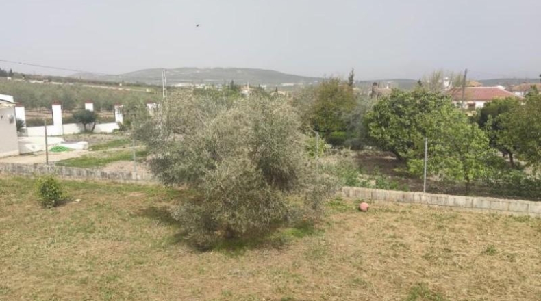 Córdoba - Lucena - 2500m2