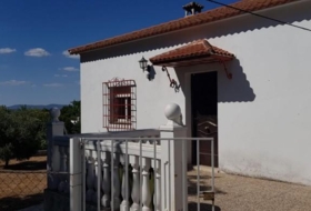 Foto 15