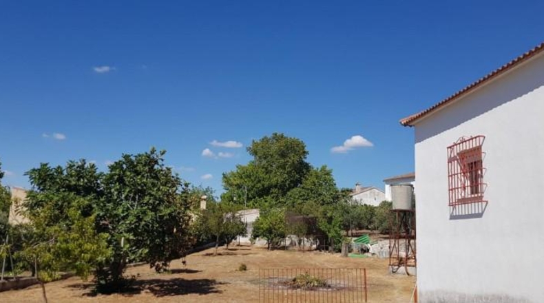 Córdoba - Lucena - 2500m2