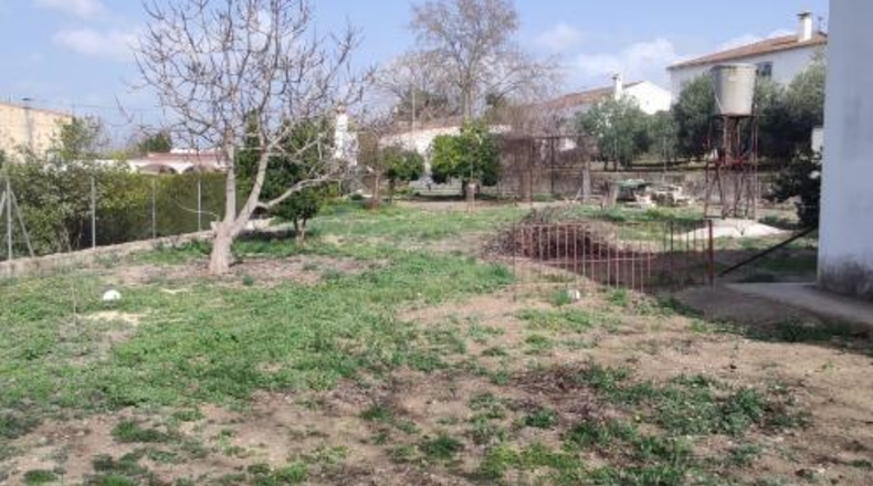 Córdoba - Lucena - 2500m2