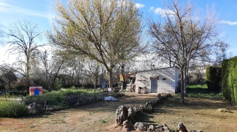 Córdoba - Lucena - 4937m2