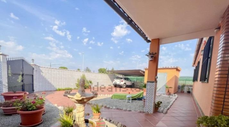 Castellón - Vila-real - 337m2