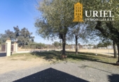 Finca rústica en venda a la España, Carmona, ref.: TR362488 foto