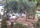 Xalet independent amb terreny en venda a la España, el Campello, ref.: TR363205 foto