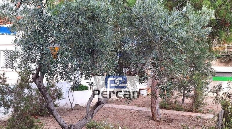 Alicante - Кампельо - 753m2