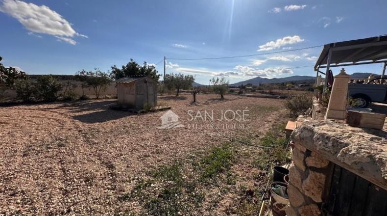 Alicante - Monóvar - 4000m2