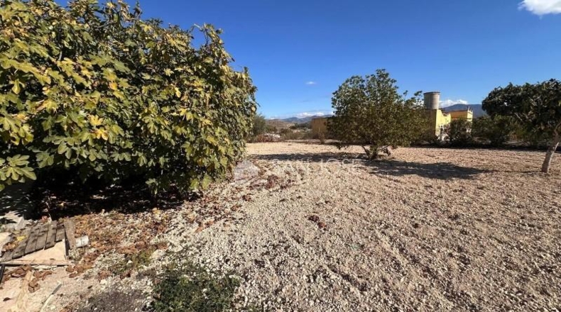 Alicante - Monóvar - 4000m2