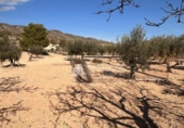 Xalet independent amb terreny en venda a la España, Monòver, ref.: TR361899 foto