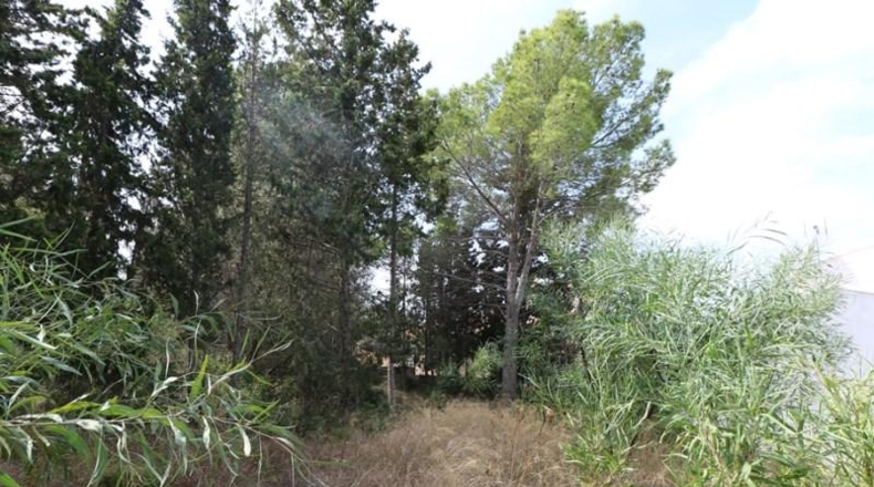 Balearic Islands - Alcudia - 530m2