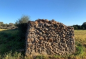 Land suitable for development for sale on España, Santa Margalida, ref: TR173492 photo