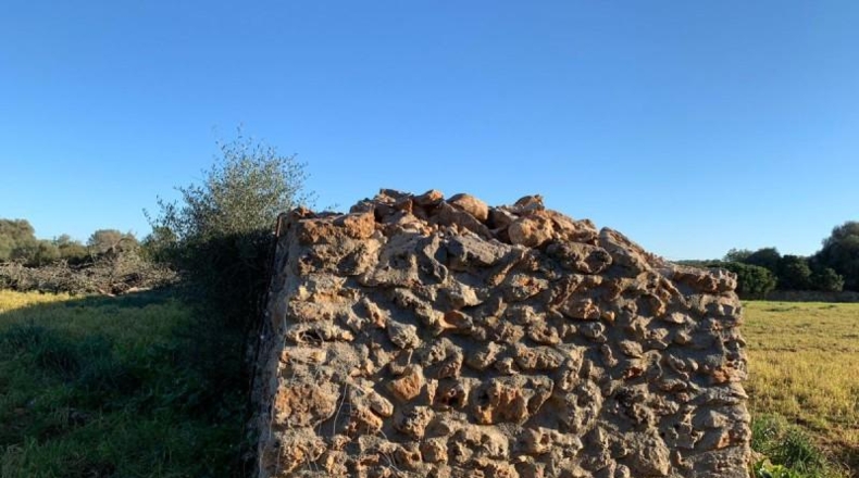 Balearic Islands - Son Bauló - 23701m2