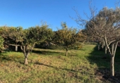 Land suitable for development for sale on España, Santa Margalida, ref: TR173492 photo