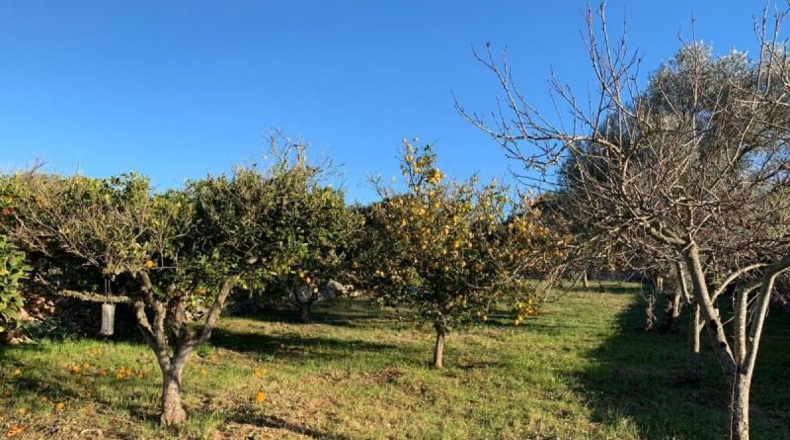 Balearic Islands - Son Bauló - 23701m2
