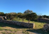 Land suitable for development for sale on España, Santa Margalida, ref: TR173492 photo