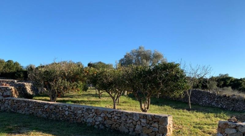 Balearic Islands - Son Bauló - 23701m2