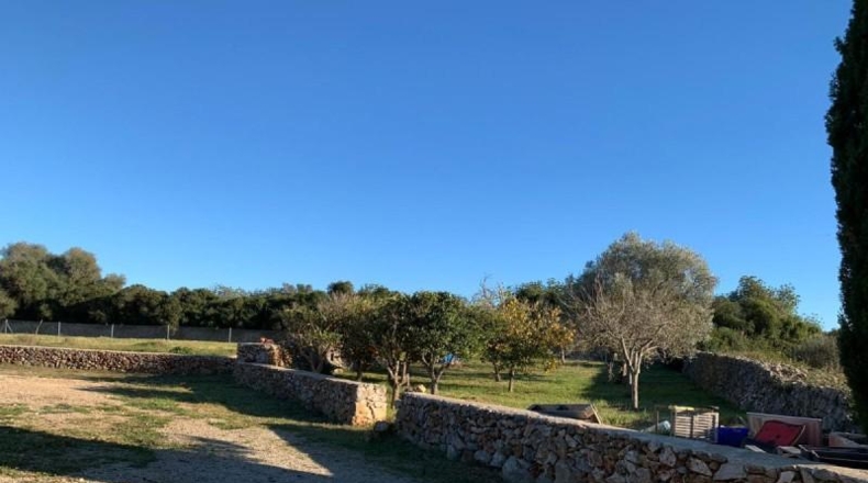 Balearic Islands - Son Bauló - 23701m2