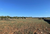 Land suitable for development for sale on España, Santa Margalida, ref: TR173492 photo