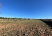 Land suitable for development for sale on España, Santa Margalida, ref: TR173492 photo