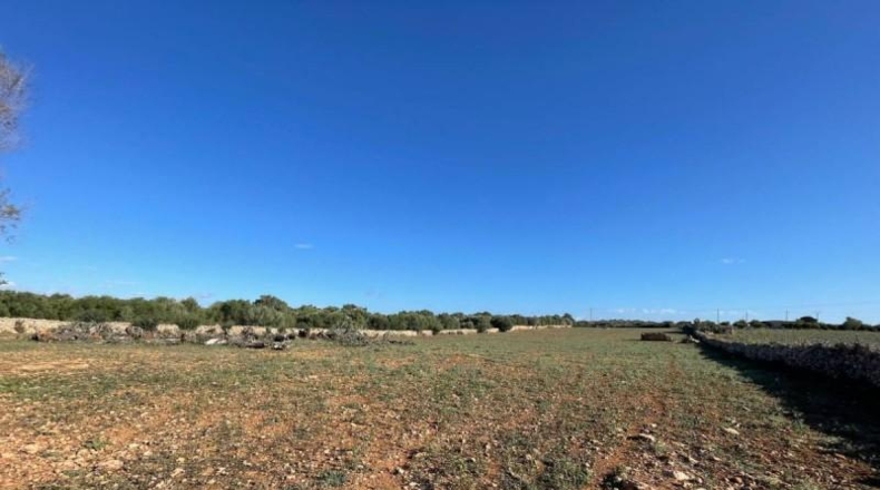 Balearic Islands - Son Bauló - 23701m2