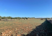 Land suitable for development for sale on España, Santa Margalida, ref: TR173492 photo