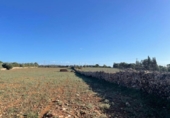 Land suitable for development for sale on España, Santa Margalida, ref: TR173492 photo