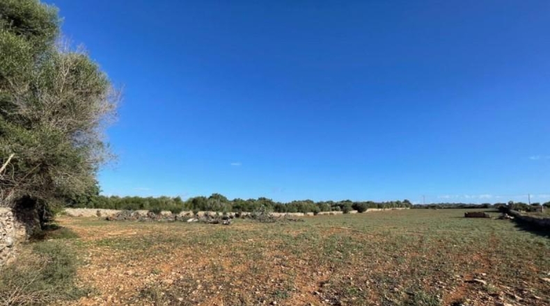Balearic Islands - Son Bauló - 23701m2