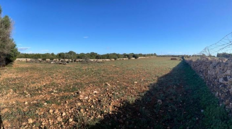 Balearic Islands - Son Bauló - 23701m2
