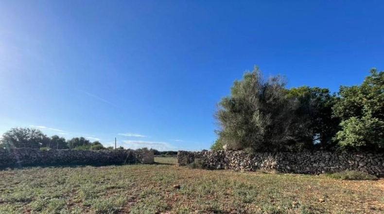 Balearic Islands - Son Bauló - 23701m2
