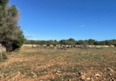 Land suitable for development for sale on España, Santa Margalida, ref: TR173492 photo