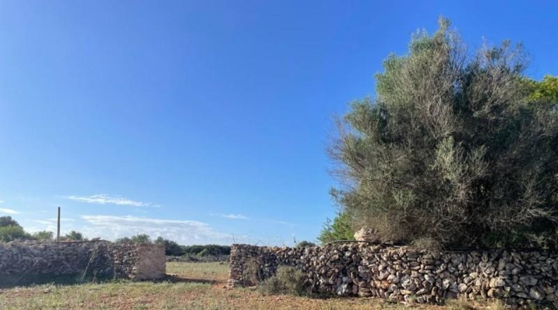 Balearic Islands - Son Bauló - 23701m2