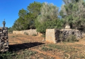 Land suitable for development for sale on España, Santa Margalida, ref: TR173492 photo