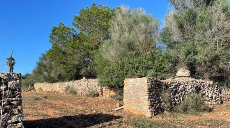 Balearic Islands - Son Bauló - 23701m2