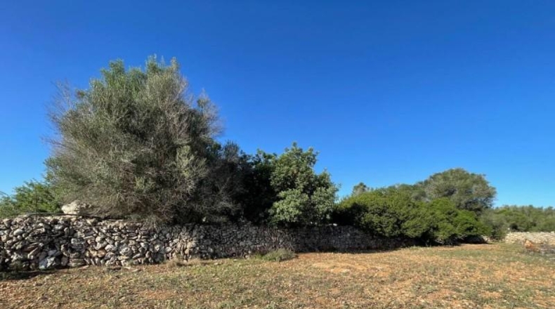Balearic Islands - Son Bauló - 23701m2