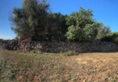 Land suitable for development for sale on España, Santa Margalida, ref: TR173492 photo