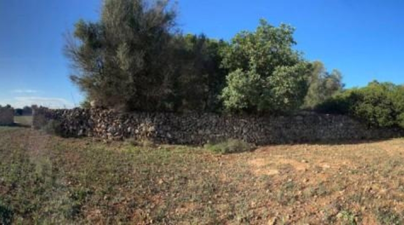 Balearic Islands - Son Bauló - 23701m2