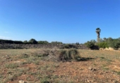 Land suitable for development for sale on España, Santa Margalida, ref: TR173492 photo