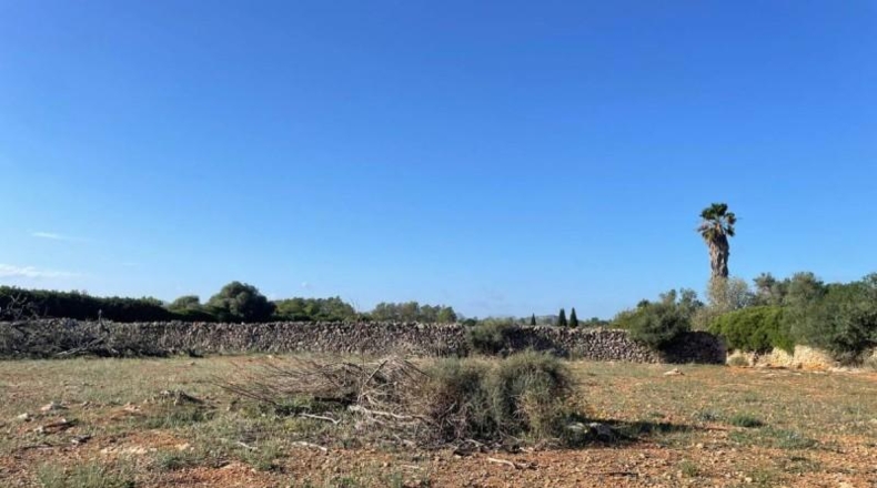 Balearic Islands - Son Bauló - 23701m2