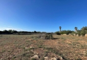 Land suitable for development for sale on España, Santa Margalida, ref: TR173492 photo