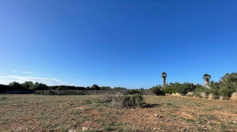 Balearic Islands - Son Bauló - 23701m2