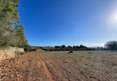 Land suitable for development for sale on España, Santa Margalida, ref: TR173492 photo