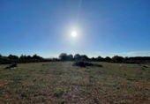Land suitable for development for sale on España, Santa Margalida, ref: TR173492 photo