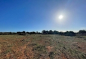 Land suitable for development for sale on España, Santa Margalida, ref: TR173492 photo
