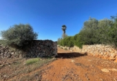 Land suitable for development for sale on España, Santa Margalida, ref: TR173492 photo