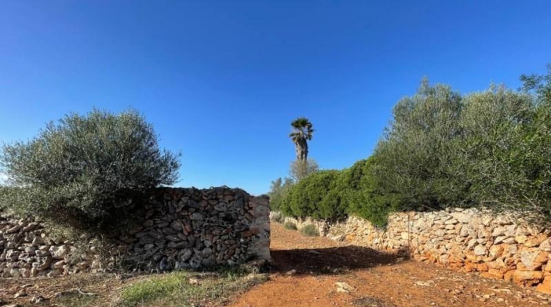 Balearic Islands - Son Bauló - 23701m2