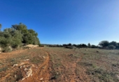 Land suitable for development for sale on España, Santa Margalida, ref: TR173492 photo