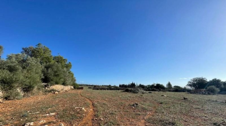 Balearic Islands - Son Bauló - 23701m2
