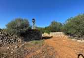 Land suitable for development for sale on España, Santa Margalida, ref: TR173492 photo